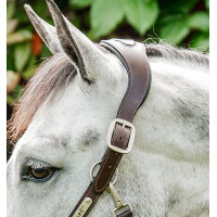 Horseware geflochtenes Signature-Halfter Braun / Marineblau / Nebelblau Mehrfarbig