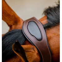 Horseware geflochtenes Signature-Halfter Braun / Marineblau / Jägergrün Mehrfarbig Horseware geflochtenes Signature-Halfter Braun / Marineblau / Jägergrün Mehrfarbig