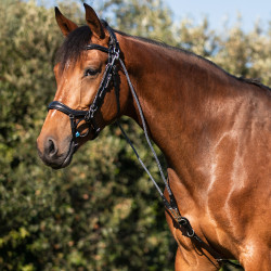 Kinnriemen aus Kalbsleder und Nylon Acavallo Schwarz