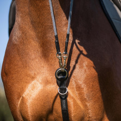 Kinnriemen aus Kalbsleder und Nylon Acavallo Schwarz