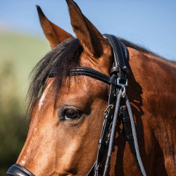 Kinnriemen aus Kalbsleder und Nylon Acavallo Schwarz