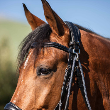 Kinnriemen aus Kalbsleder und Nylon Acavallo Schwarz