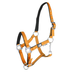 Licol pour poulain en cuir rembourré toucher doux à double réglage Supreme Orange