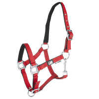 Fohlenhalfter aus gepolstertem Leder mit weicher Haptik und doppelter Verstellmöglichkeit Supreme Rot