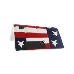 Satteldecke USA Synt Burioni