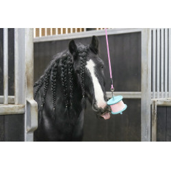 Pierre à lécher Likit