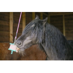 Pierre à lécher Likit