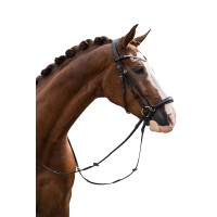 Trensenzaum HKM Nicole Schwarz Trensenzaum HKM Nicole Schwarz