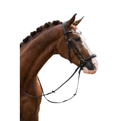 Trensenzaum HKM Nicole Schwarz