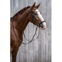 Trensenzaum HKM Nicole Schwarz Trensenzaum HKM Nicole Schwarz