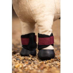 Guêtres Mini Poney Lemieux Glut Bordeaux