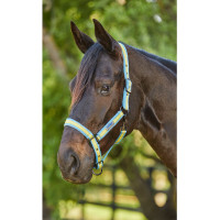 Weatherbeeta Coordinate Halfter Hellblau / Gold / Sand Mehrfarbig