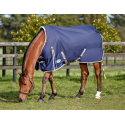 Weatherbeeta ComFiTec Essential Hemd Weatherbeeta ComFiTec Essential Hemd