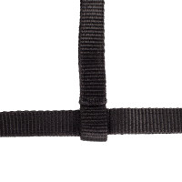 Licol Poulain Horze Spirit Noir