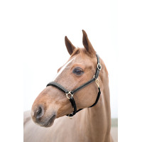 Halfter Largo Horze Braun