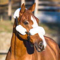 Horze Halfter-Schoner-Set Weiß Weiß