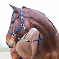 Longe Horze Supreme, Karabinerhaken Blau Longe Horze Supreme, Karabinerhaken Blau