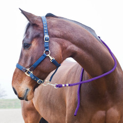 Longe Horze Supreme, Karabinerhaken Violett Lila Longe Horze Supreme, Karabinerhaken Violett Lila