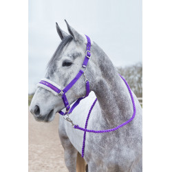 Longierleine Howard Crescendo Horze Violett Lila