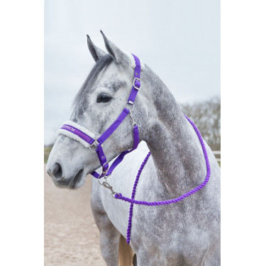 Longierleine Howard Crescendo Horze Violett Lila