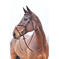 Trense mit kombiniertem Reithalfter Prescott Horze Trense mit kombiniertem Reithalfter Prescott Horze