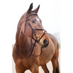 Trense mit kombiniertem Reithalfter Prescott Horze Trense mit kombiniertem Reithalfter Prescott Horze