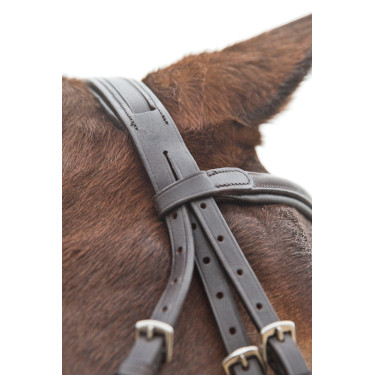 Trense mit kombiniertem Reithalfter Prescott Horze Trense mit kombiniertem Reithalfter Prescott Horze