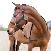 Horze Basic Baumwoll-Longe Himbeerrosa Horze Basic Baumwoll-Longe Himbeerrosa