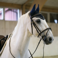 Mütze Sam mit Ohren B Vertigo Fliegenhaube Marineblau Mütze Sam mit Ohren B Vertigo Fliegenhaube Marineblau