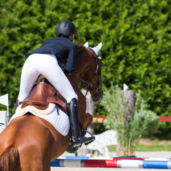 Reitstiefel Winslow Horze Schwarz