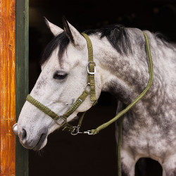 Set aus Halfter und Führstrick Chicago Horze Zypressengrün / Lodengrün Gr&uuml;n