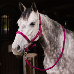 Set aus Halfter und Führstrick Chicago Horze Bordeaux / violetter Quarz Set aus Halfter und Führstrick Chicago Horze Bordeaux / violetter Quarz