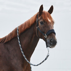 Kiel Halfter mit Fleecepolsterung Horze Schwarz