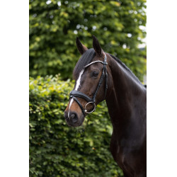 Anatomisches Zaumzeug Horze Somerset Schwarz