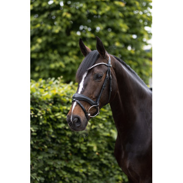 Anatomisches Zaumzeug Horze Somerset Schwarz