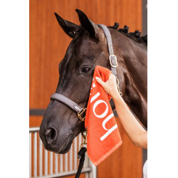 Handtuch Horze Rostorange