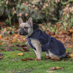 new Marine / Grau Blau