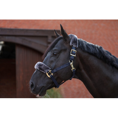 Bucas Show-Line Halfter Marine / Grau Bucas Show-Line Halfter Marine / Grau