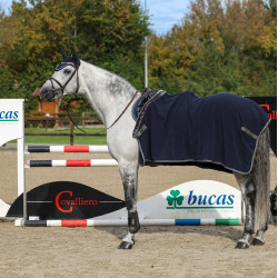 Polar-Decke Show-Line Bucas 600g Marine / Grau Blau