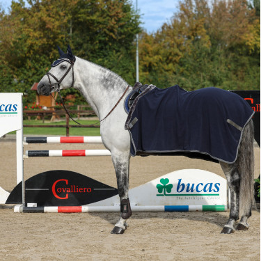Polar-Decke Show-Line Bucas 600g Marine / Grau Blau Polar-Decke Show-Line Bucas 600g Marine / Grau Blau
