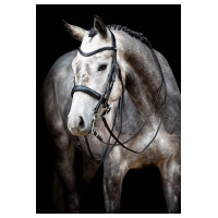 Trense Montar Normandie gegerbtes Leder Schwarz