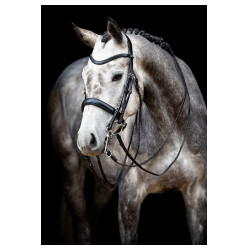 Trense Montar Normandie gegerbtes Leder