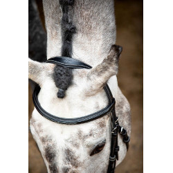 Trense Montar Hunter Schwarz