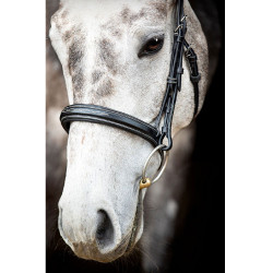 Trense Montar Hunter Schwarz