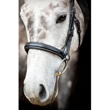 Trense Montar Hunter Schwarz