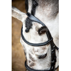 Trense Montar Hunter Schwarz