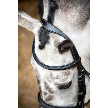 Trense Montar Hunter Schwarz