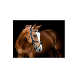 Bridon Montar Lyon 8-Fig gegerbtes Leder Schwarz Bridon Montar Lyon 8-Fig gegerbtes Leder Schwarz