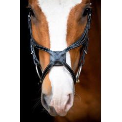 Bridon Montar Lyon 8-Fig gegerbtes Leder Schwarz Bridon Montar Lyon 8-Fig gegerbtes Leder Schwarz