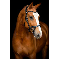 Bridon Montar Monarch organisch gegerbtes Leder